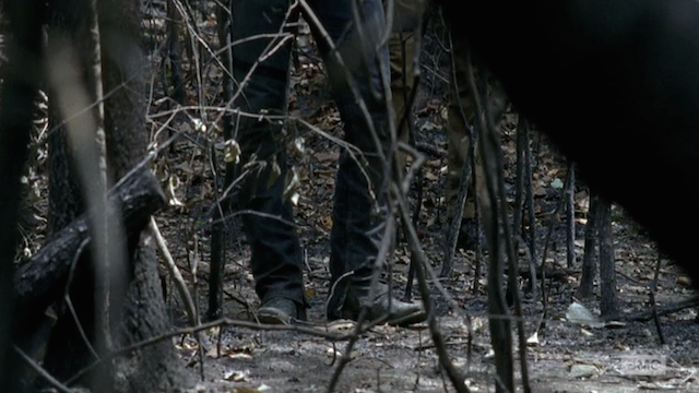 the-walking-dead-les-sauveurs