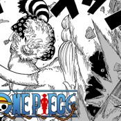 one-piece-chapitre-809-manga