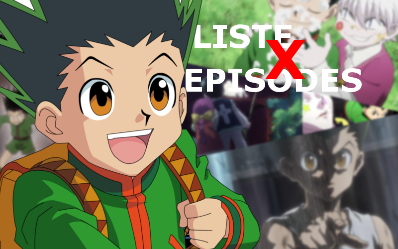 Liste Des Episodes De Hunter X Hunter Hunter x Hunter (2011): liste de tous les épisodes - 1001Web